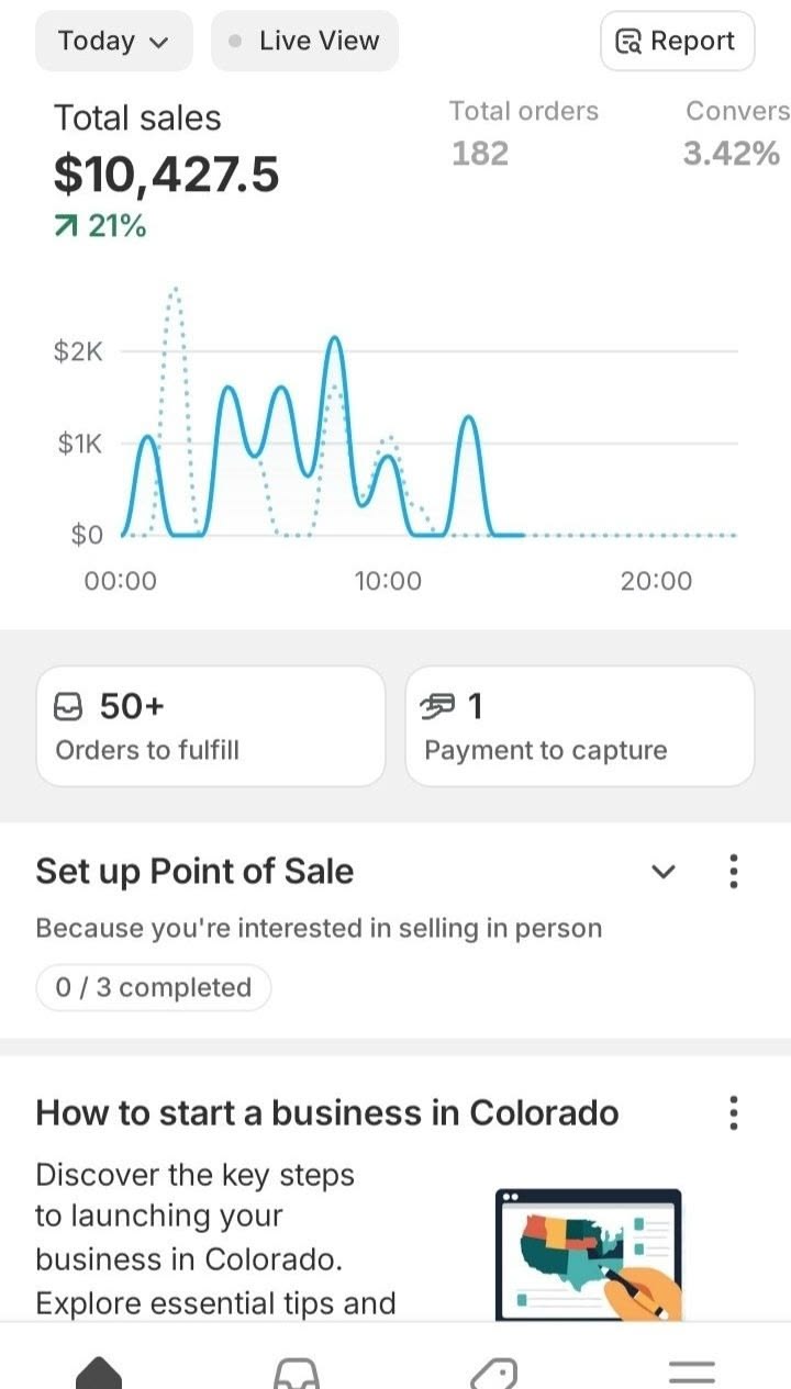 Daily sales snapshot dashboard screenshot