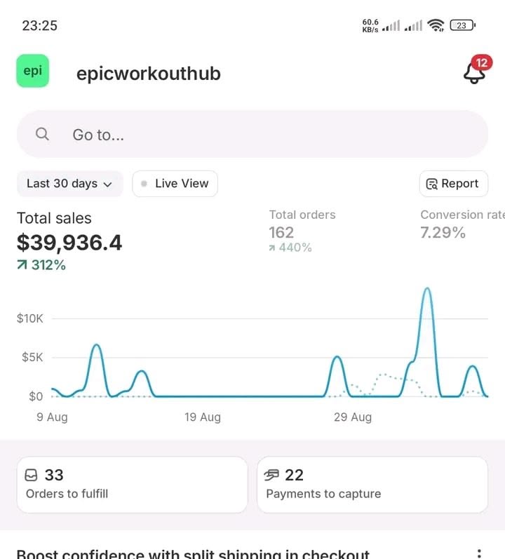 30-day store revenue dashboard screenshot