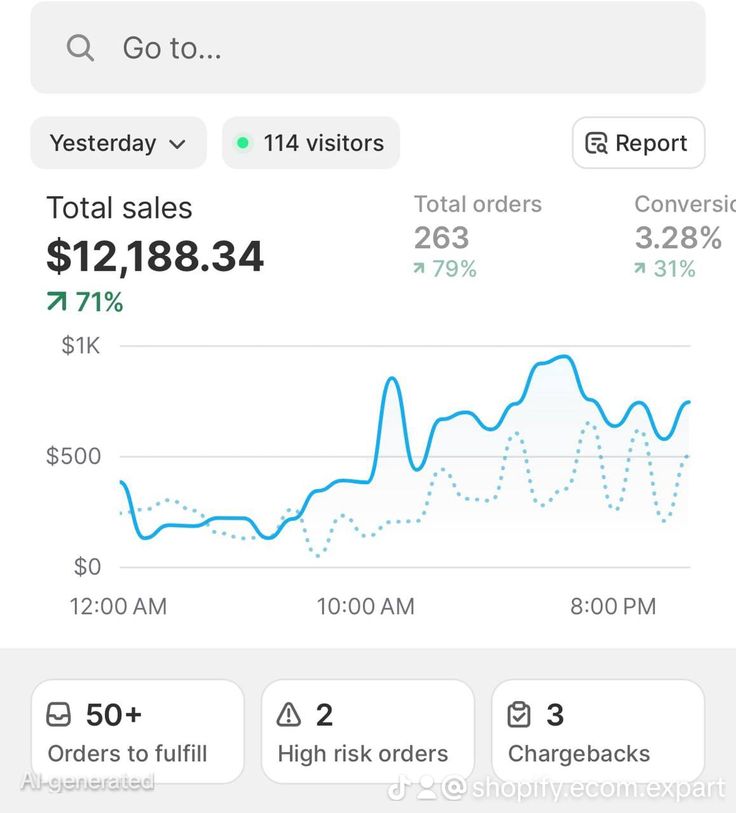 Shopify dashboard showing daily sales, total orders and conversion activity